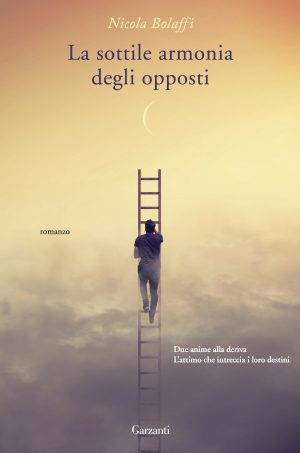 trama del libro La sottile armonia degli opposti